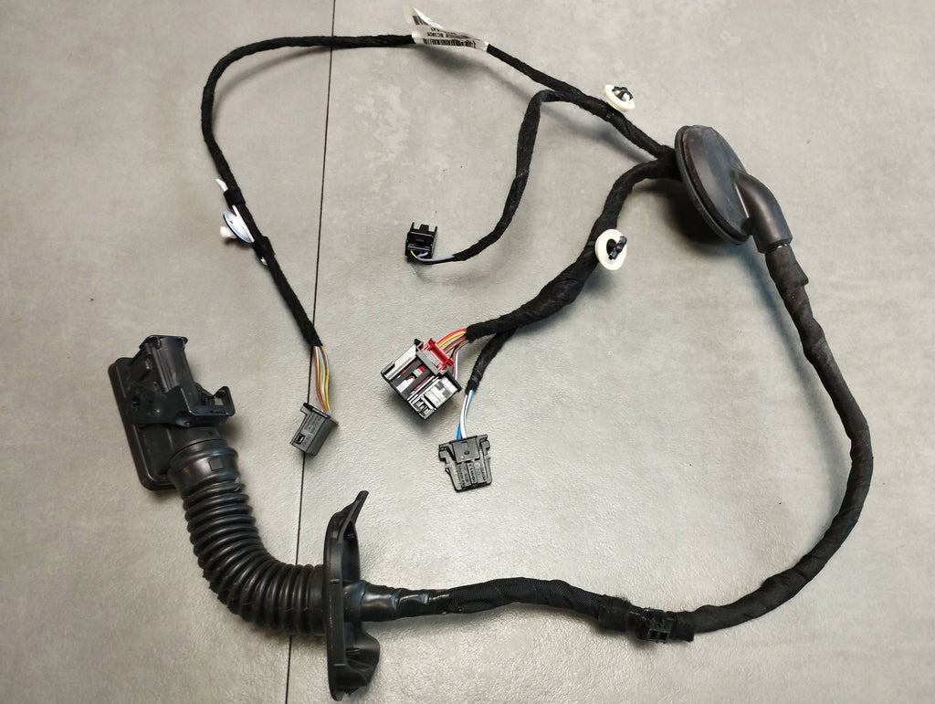 Seat Leon IV 2024 DOOR HARNESS LEFT REAR 5FA971161J