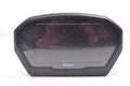 TRIUMPH TIGER 800 COUNTER CLOCKS 2135570 2501962