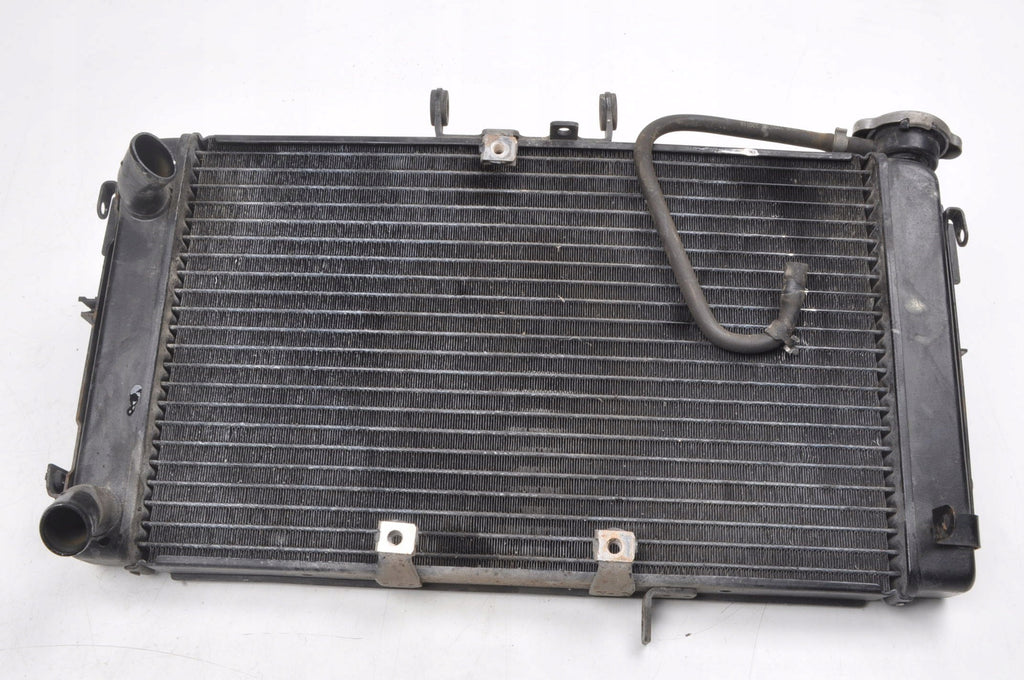 TRIUMPH TIGER 800 WATER COOLER