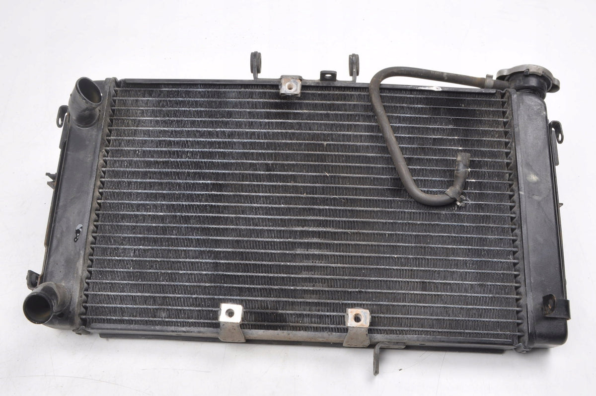 TRIUMPH TIGER 800 WATER COOLER