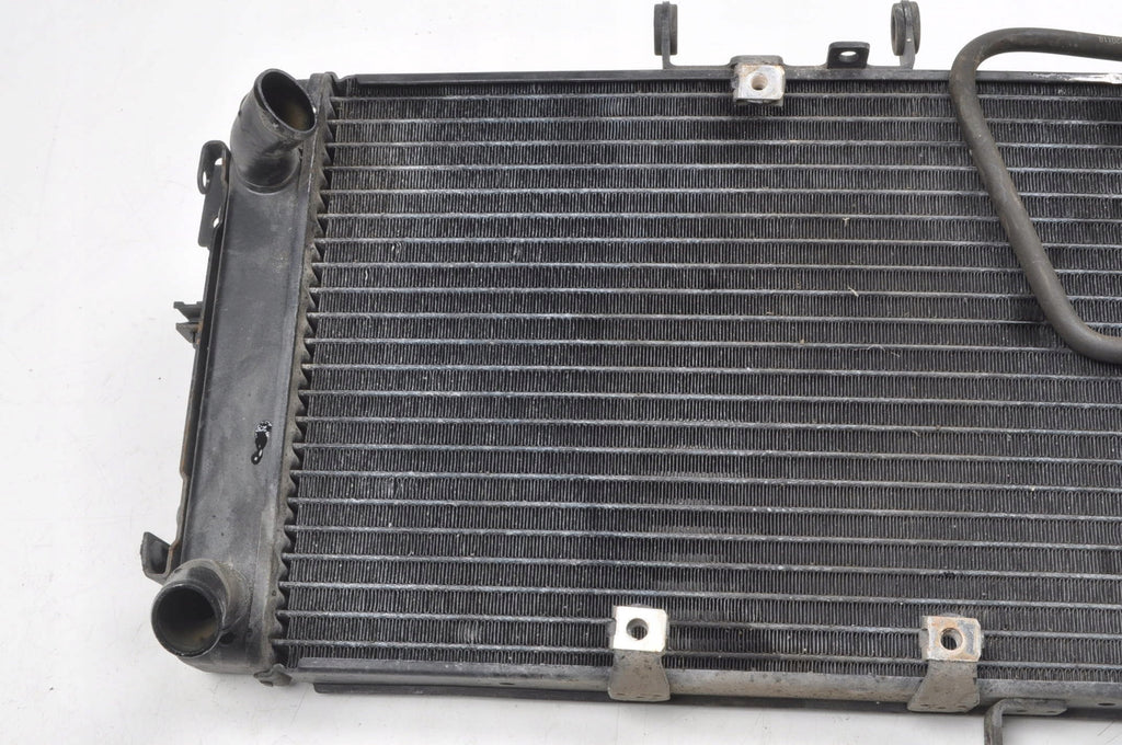 TRIUMPH TIGER 800 WATER COOLER