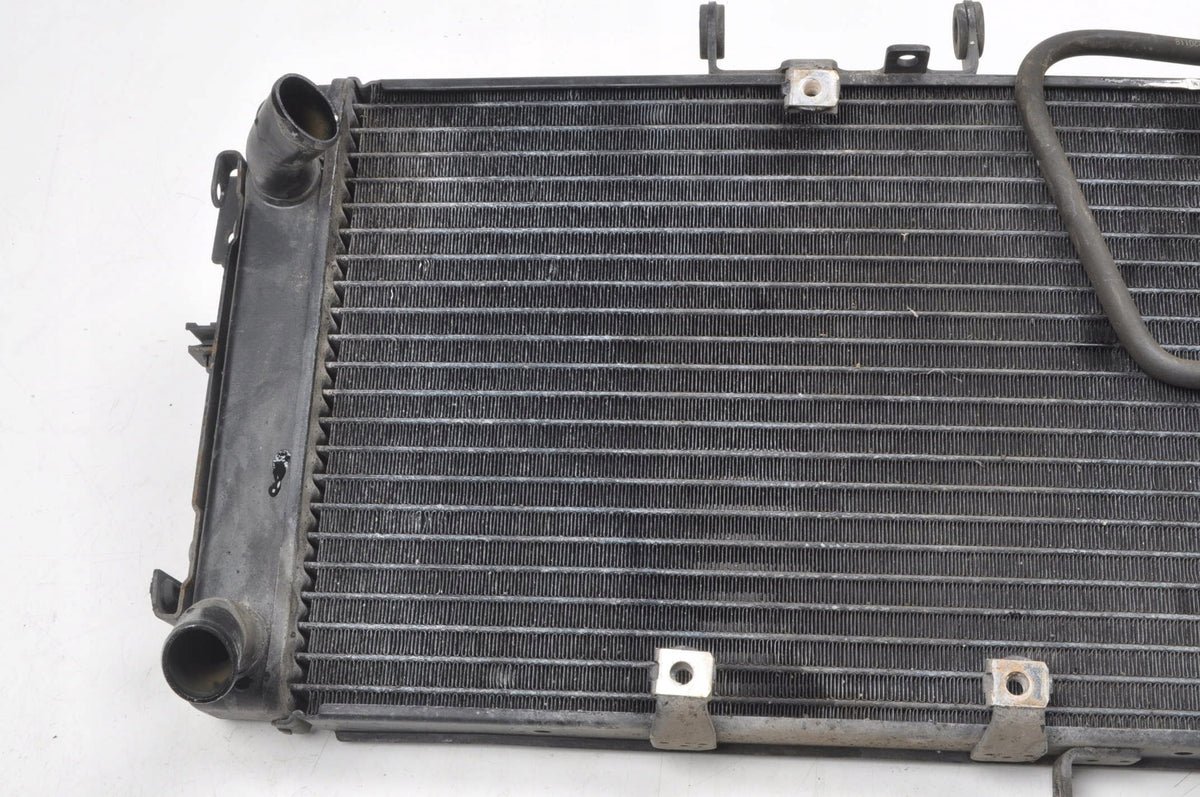 TRIUMPH TIGER 800 WATER COOLER
