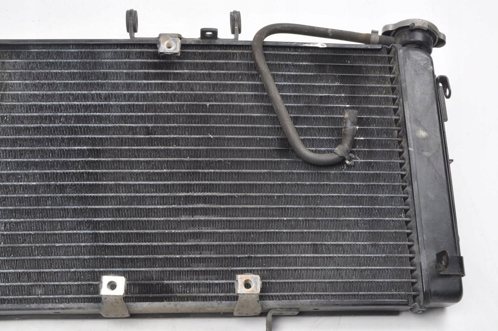 TRIUMPH TIGER 800 WATER COOLER