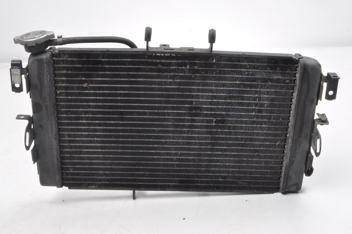 TRIUMPH TIGER 800 WATER COOLER