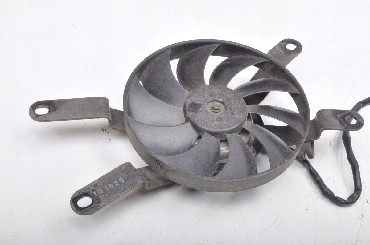TRIUMPH TRIDENT FAN 21R