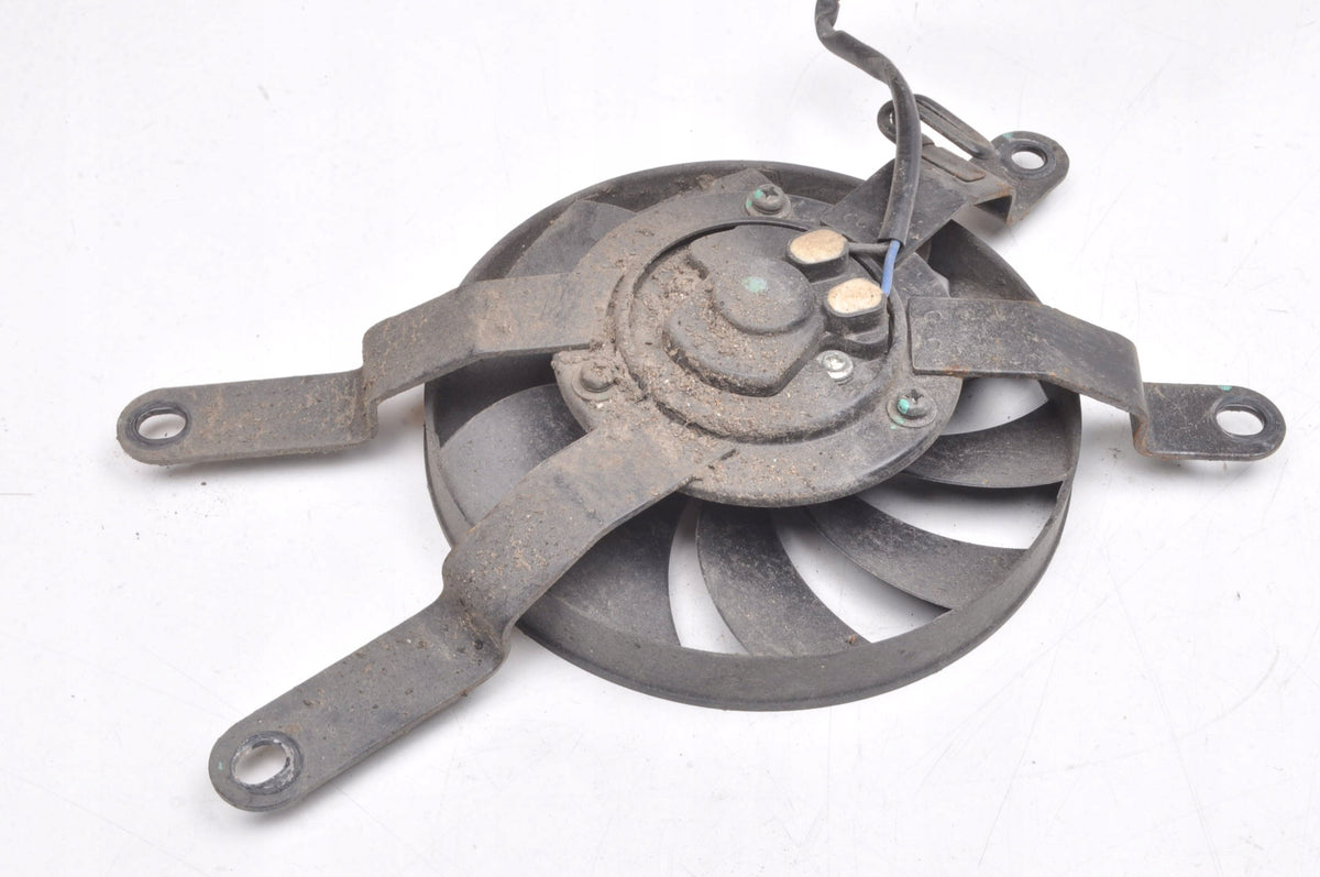 TRIUMPH TRIDENT FAN 21R
