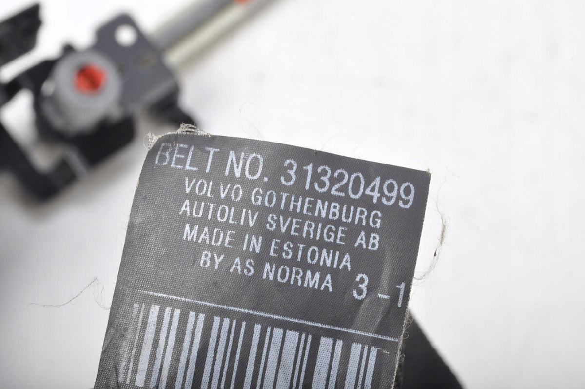 VOLVO C30 BELT RIGHT FRONT 31320499