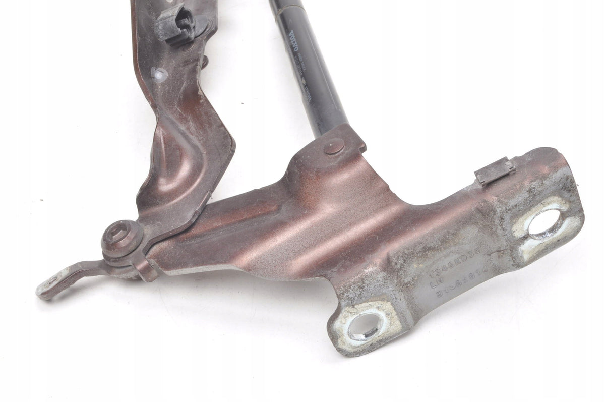VOLVO XC60 AND LIFT MASK HINGE 31385814 30784935 LEFT 712-16