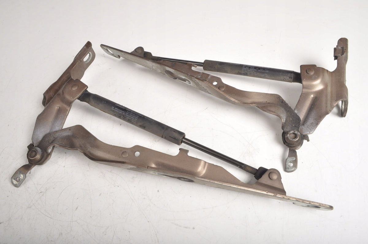 VOLVO XC60 AND MASK HINGE 30779282 30779283 SET