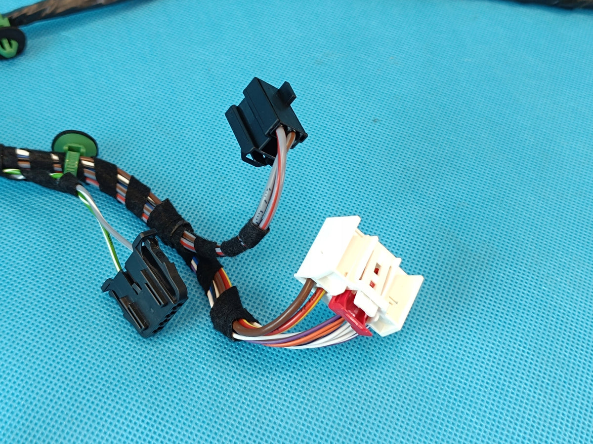 VW ARTEON HATCHBACK 2,0 TDI 147KW 2022 R DOOR HARNESS LEFT FRONT 3G8971120DH