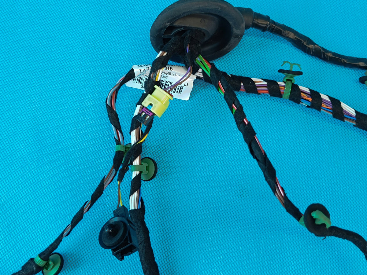 VW ARTEON HATCHBACK 2,0 TDI 147KW 2022 R DOOR HARNESS LEFT FRONT 3G8971120DH