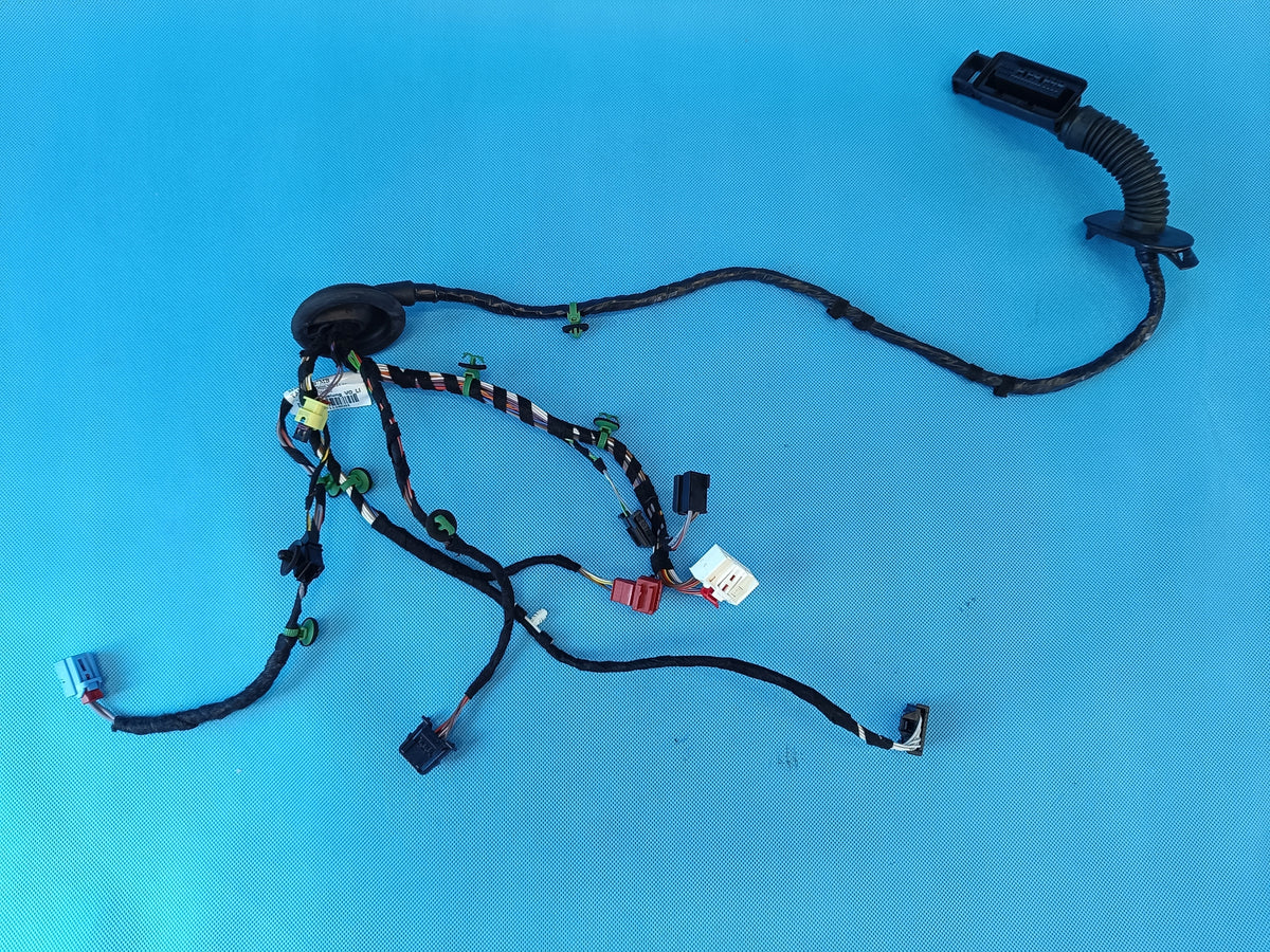 VW ARTEON HATCHBACK 2,0 TDI 147KW 2022 R DOOR HARNESS LEFT FRONT 3G8971120DH