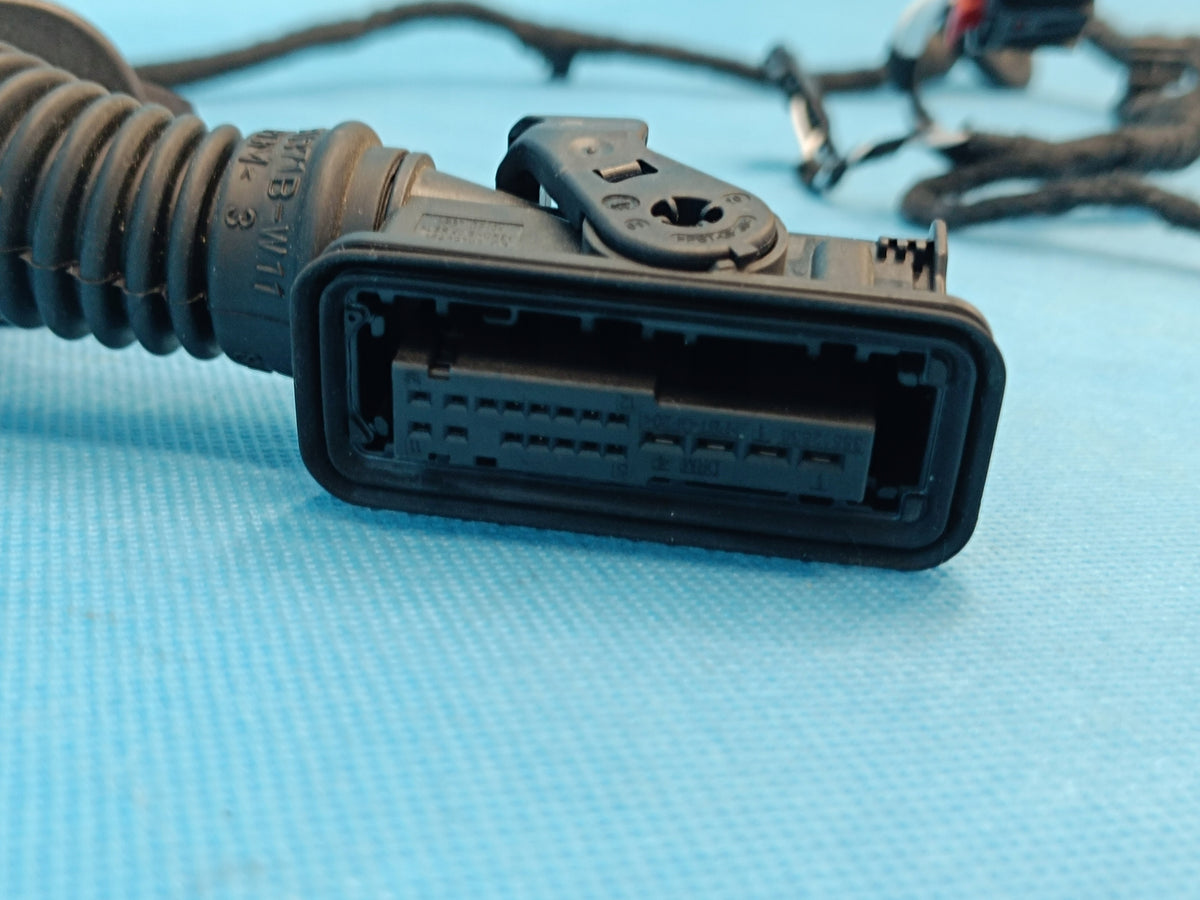 VW GOLF 8 VARIANT LIFT 1.5 TSI 110KW 24R DOOR HARNESS RIGHT REAR 5H9971694AN
