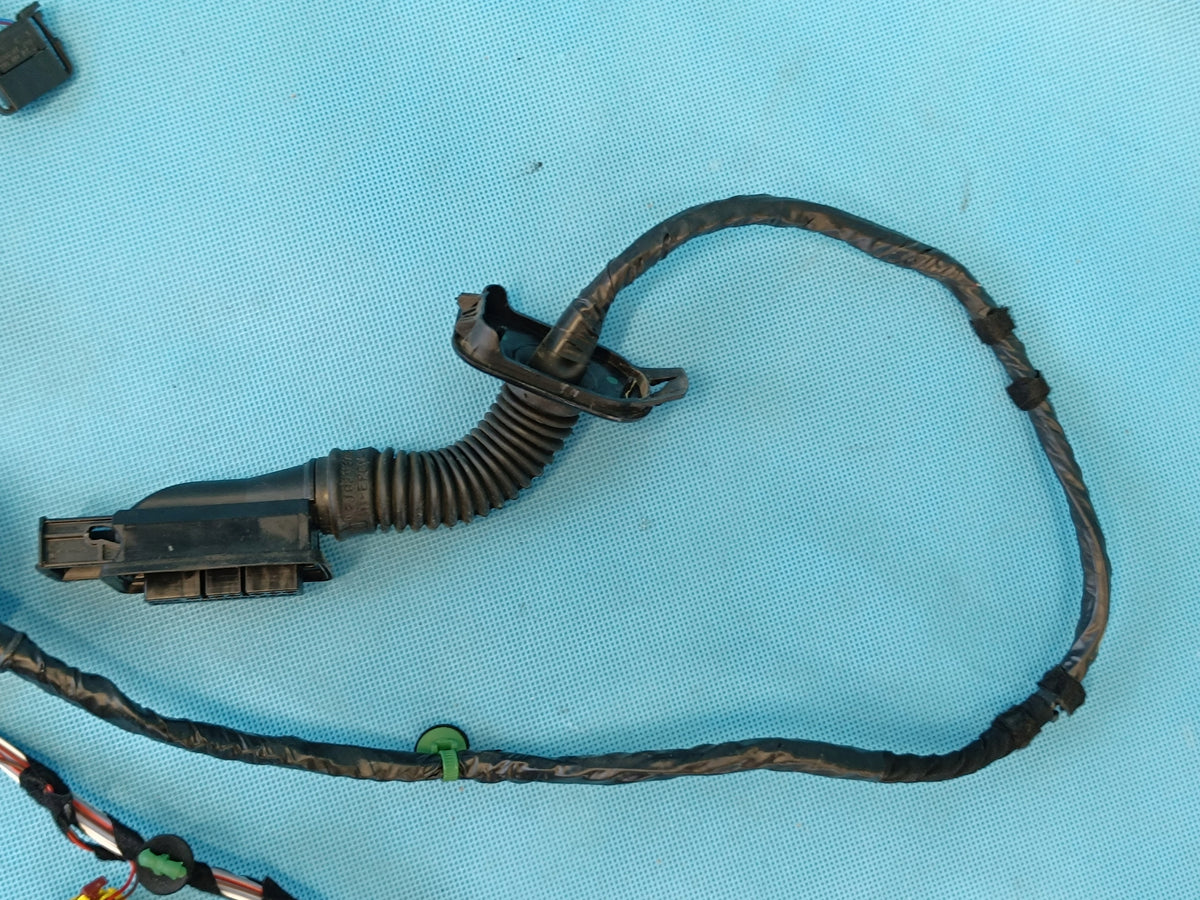 VW PASSAT B8 VARIANT 1.5 TSI 2024 R DOOR HARNESS RIGHT FRONT 3G1971121DK
