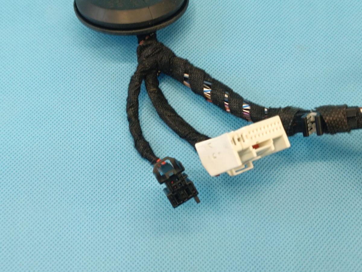 VW PASSAT B9 VARIANT 2.0 TDI 110KW 2024R DOOR HARNESS LEFT REAR 3J0971693B
