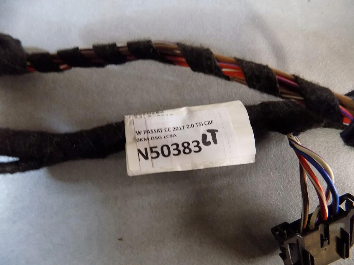 VW PASSAT CC DOOR HARNESS LEFT REAR 3C8971693ED
