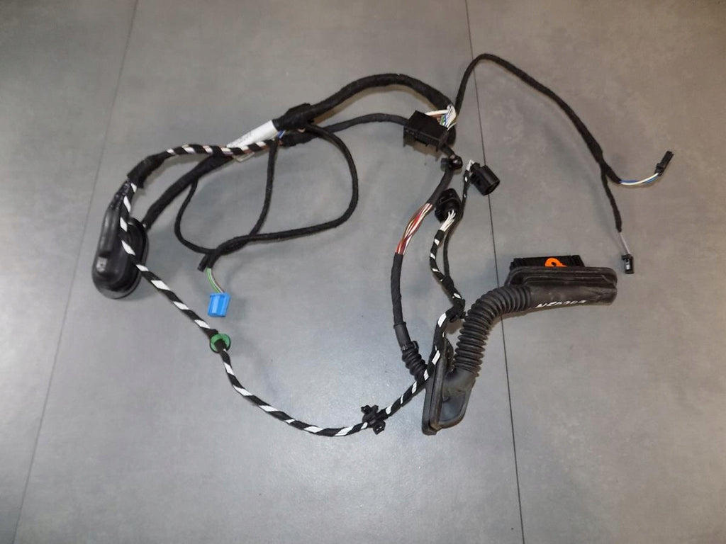 VW PASSAT CC DOOR HARNESS LEFT REAR 3C8971693ED