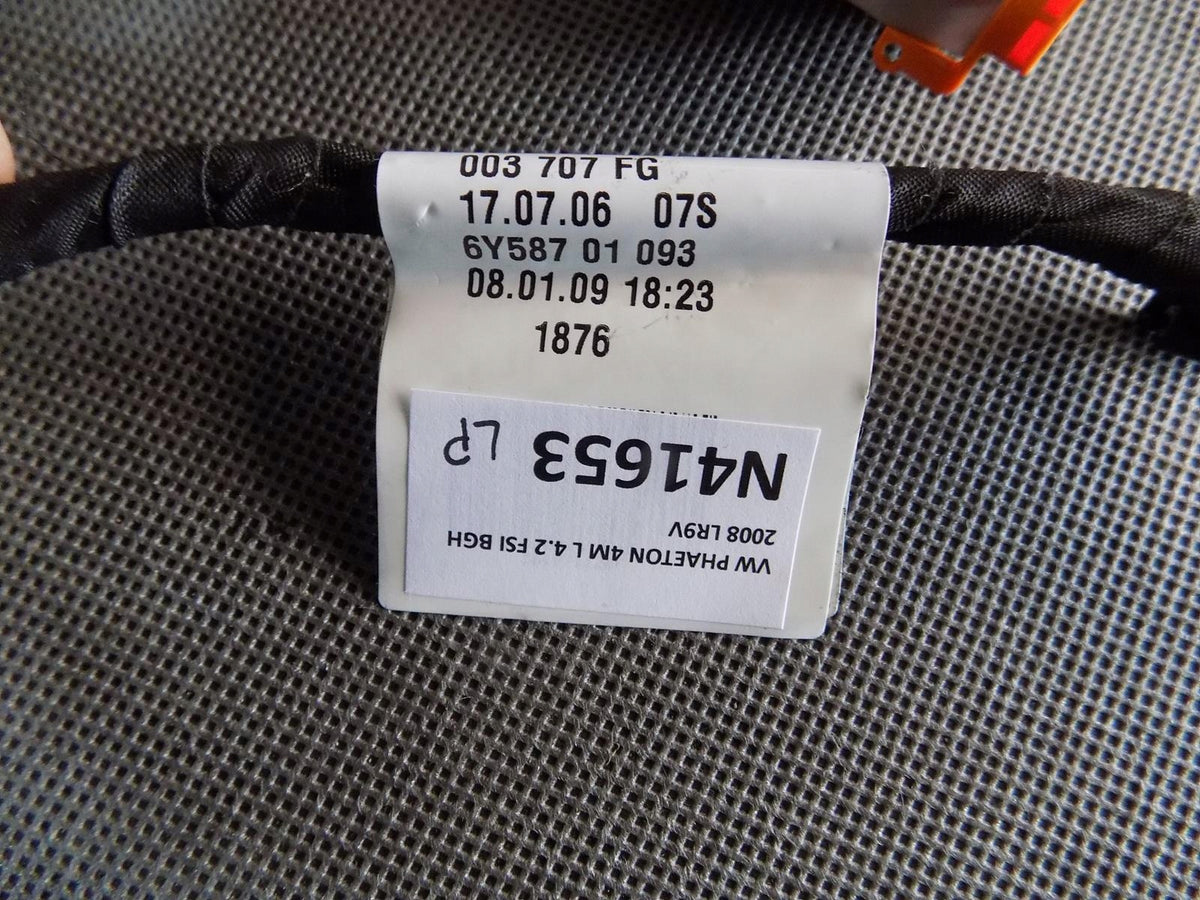 VW PHAETON DOOR HARNESS LEFT FRONT 3D1971120F