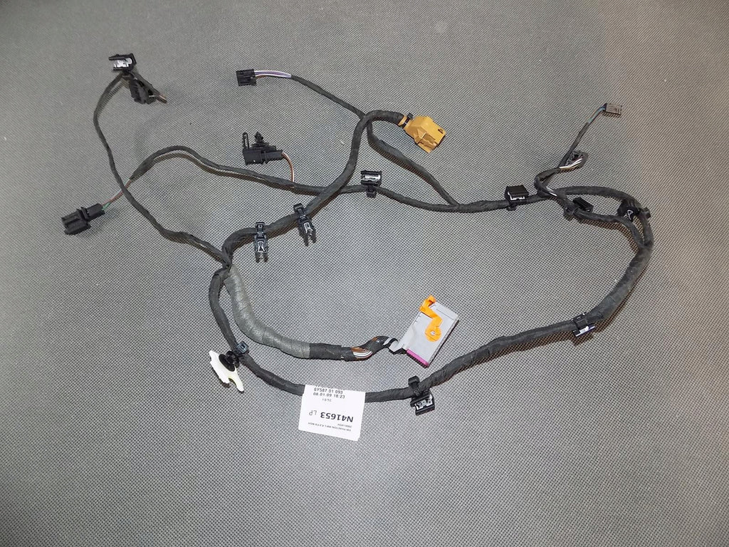 VW PHAETON DOOR HARNESS LEFT FRONT 3D1971120F