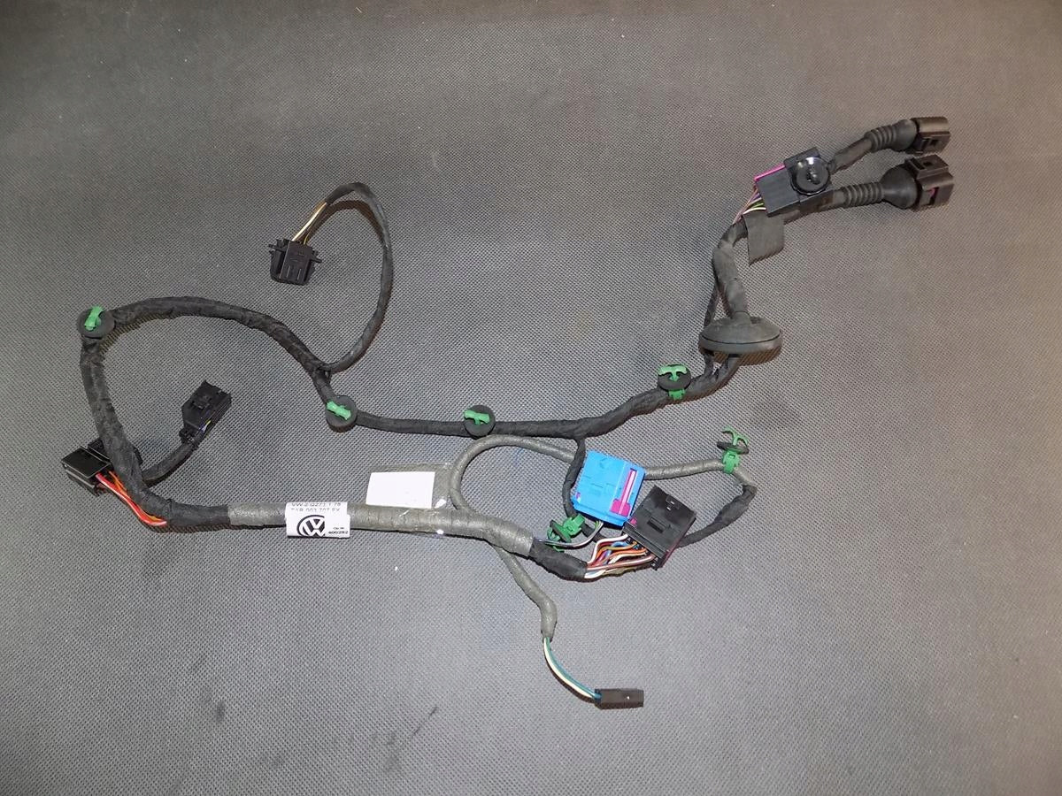 VW PHAETON DOOR HARNESS RIGHT REAR 3D0971694BG