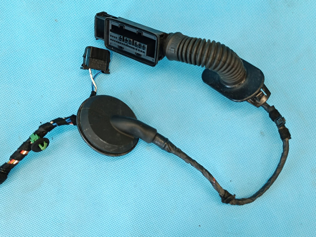 VW Passat B8 VARIANT 2.0 TDI 110KW 2022 R DOOR HARNESS LEFT REAR 3G9971693F