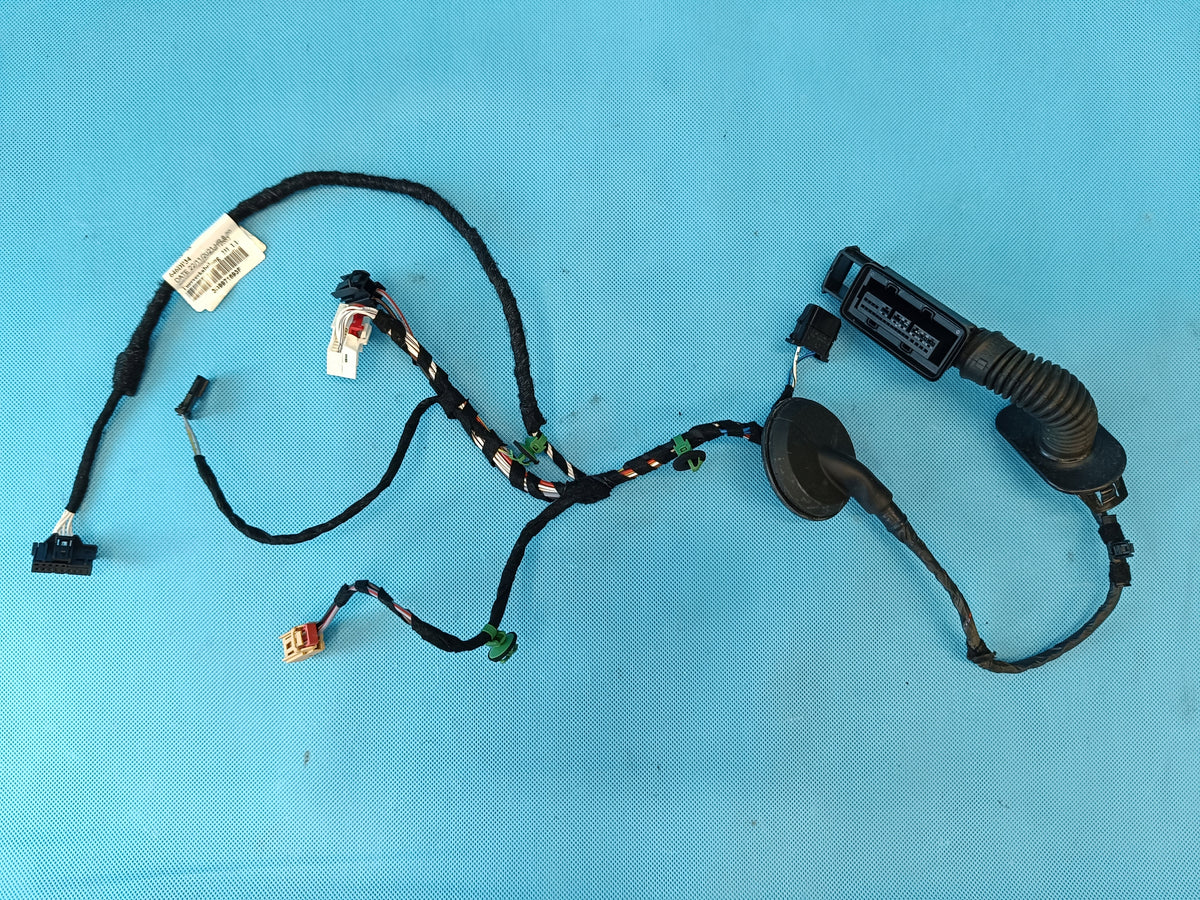 VW Passat B8 VARIANT 2.0 TDI 110KW 2022 R DOOR HARNESS LEFT REAR 3G9971693F