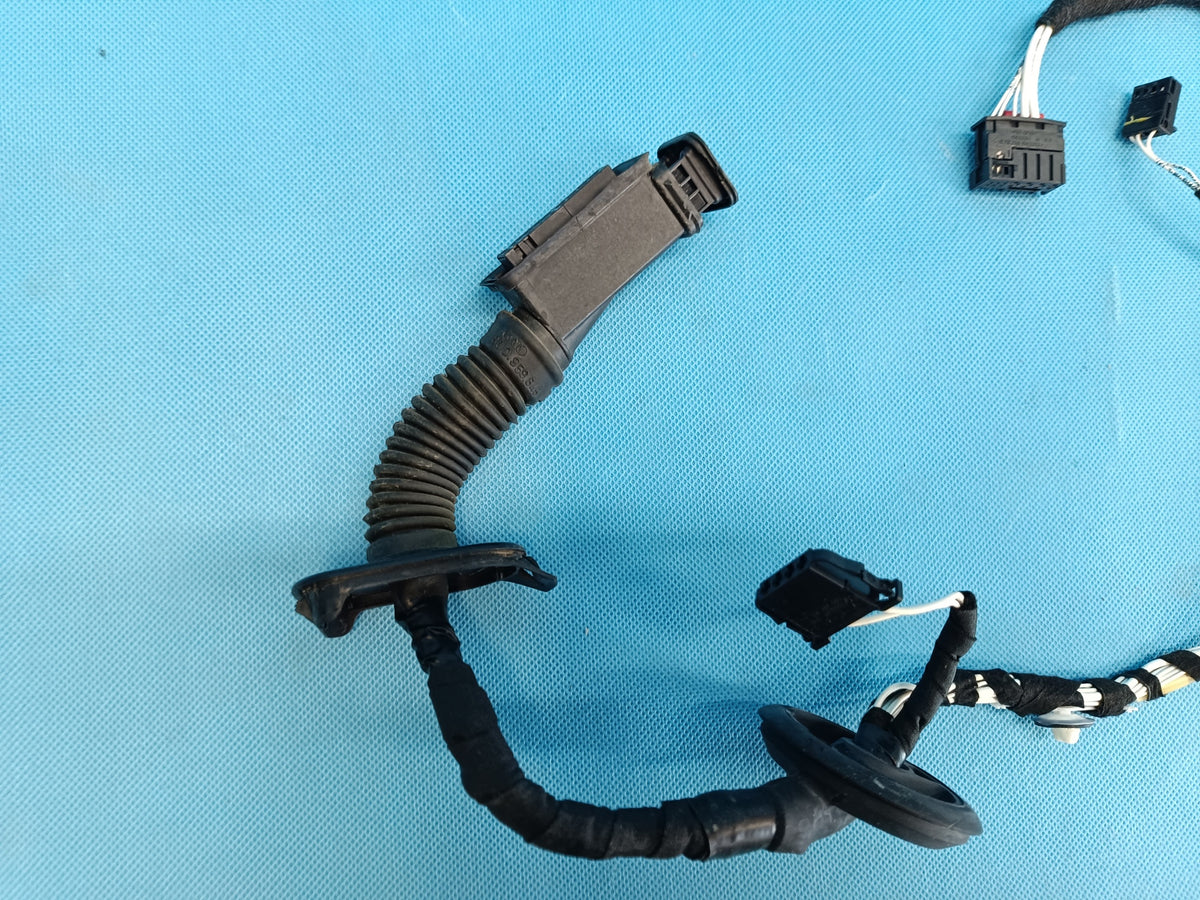 VW TIGUAN 2 II 2.0 TFSI 140KW 2022 R DOOR HARNESS RIGHT REAR 5NL971694AE
