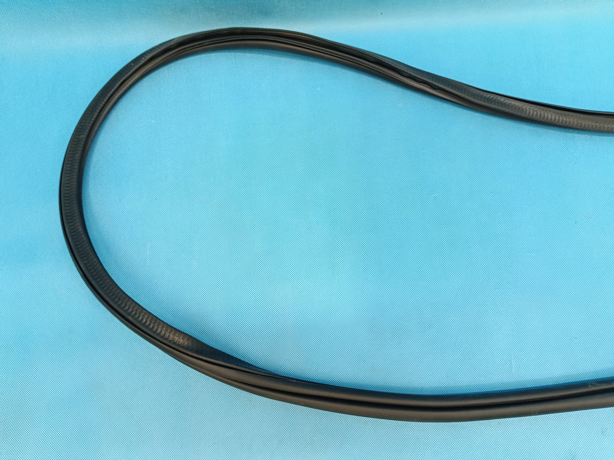 VW TIGUAN 2 II 2.0 TFSI 140KW 2022 R DOOR SEAL LEFT REAR 5NN867913A