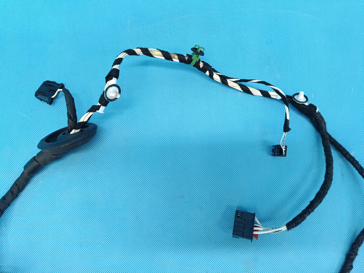 VW TIGUAN 2 II LIFT 2.0 TFSI 137KW 2024 R DOOR HARNESS LEFT REAR 5NN971693AS
