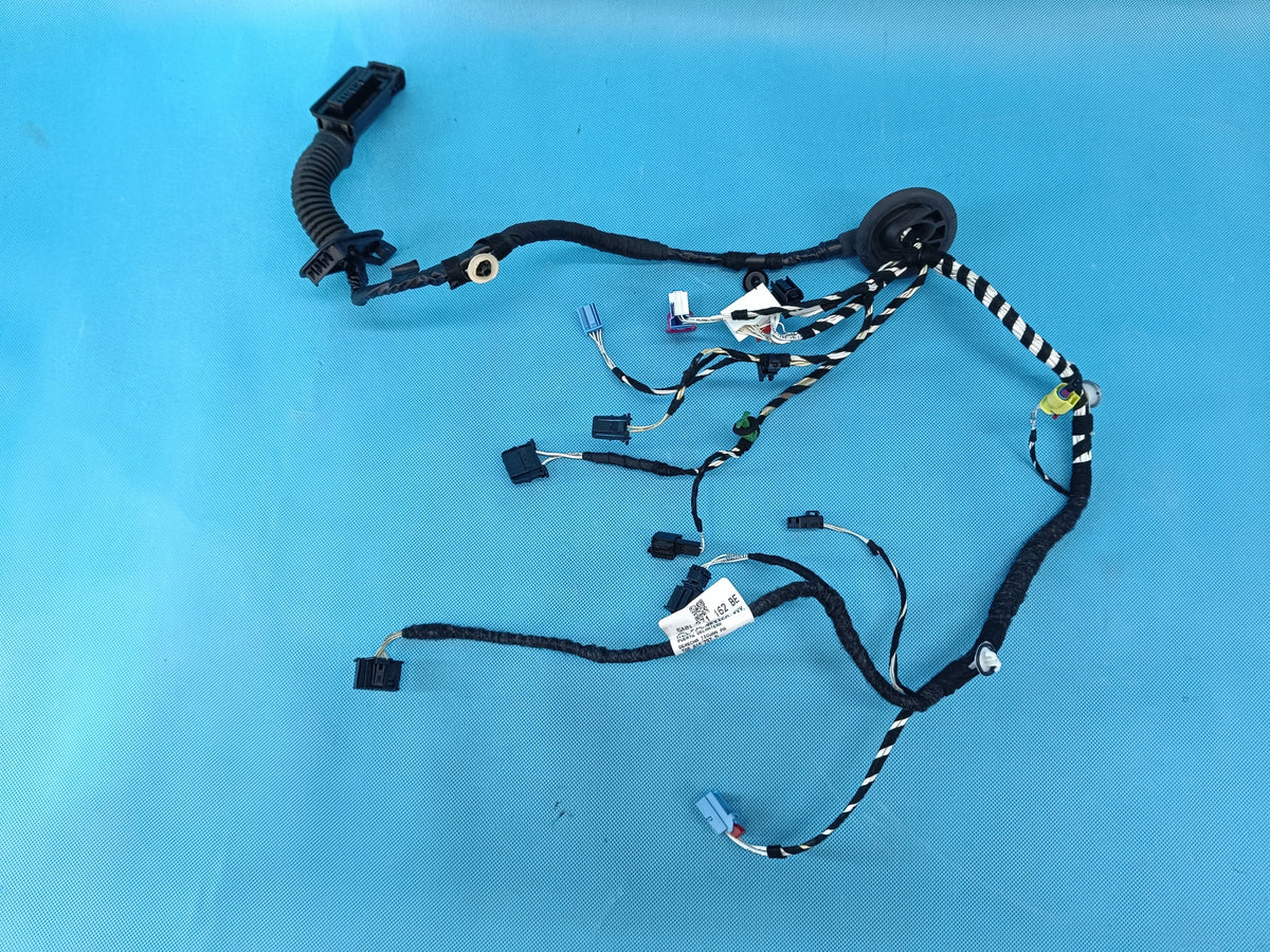 VW TIGUAN 2 II LIFT 2.0 TFSI 2024 R DOOR HARNESS RIGHT FRONT 5NN971162BE