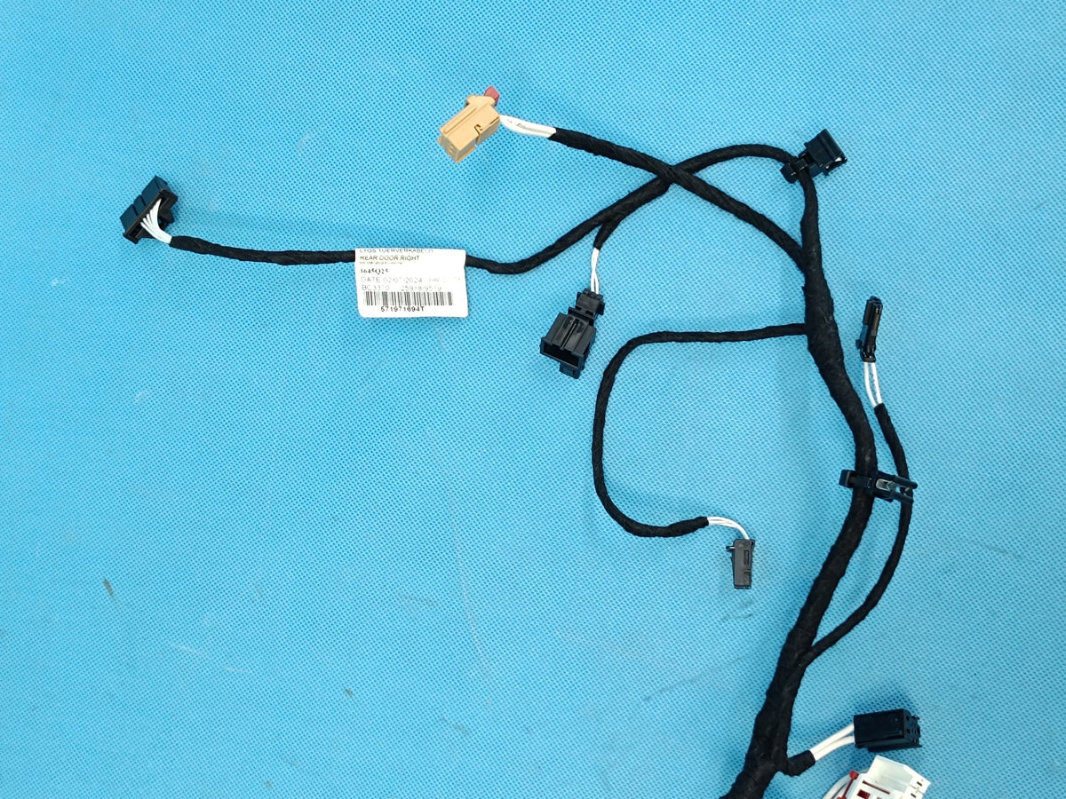 VW TIGUAN 3 III 1,5 TSI 110KW 2024 R DOOR HARNESS RIGHT REAR 571971694T