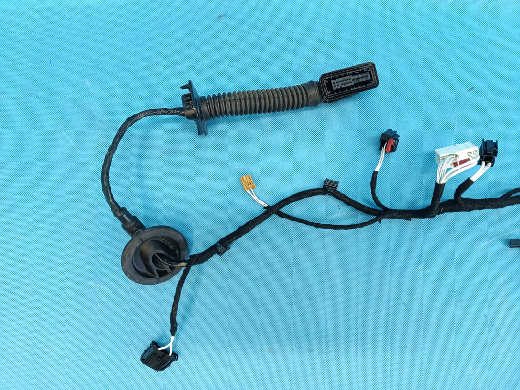 VW TIGUAN 3 III 1,5 TSI 110KW 2024 R DOOR HARNESS RIGHT REAR 571971694T
