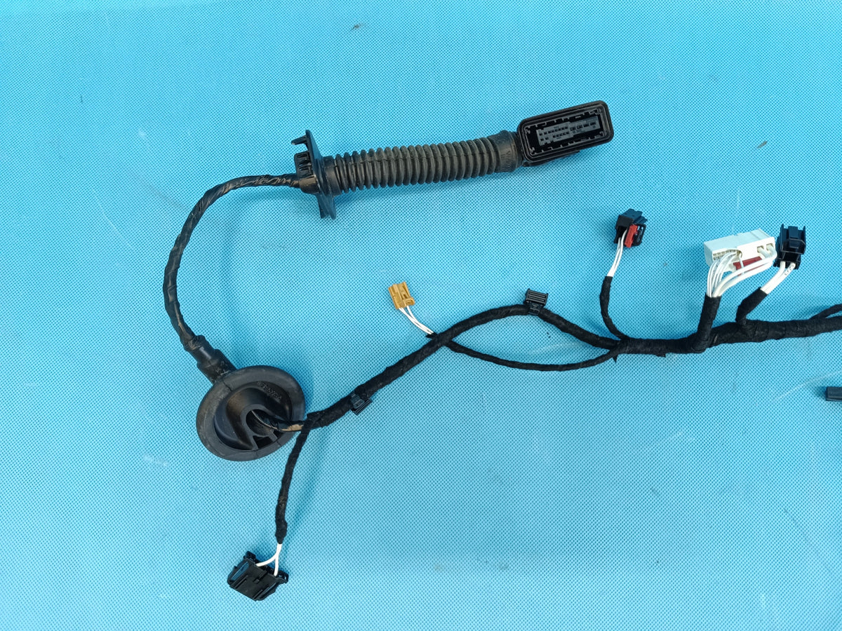 VW TIGUAN 3 III 1,5 TSI 110KW 2024 R DOOR HARNESS RIGHT REAR 571971694T