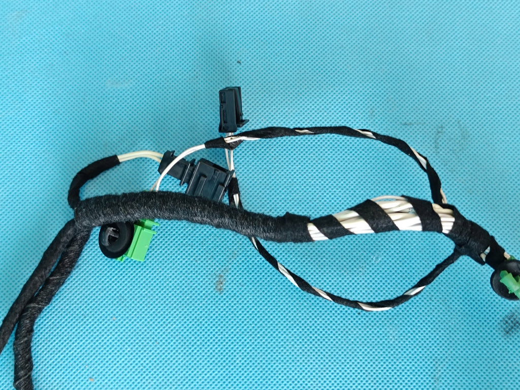 VW TIGUAN II 2 LIFT 1.5 TSI 96KW 2021 R DOOR HARNESS RIGHT REAR 5NA971694BQ