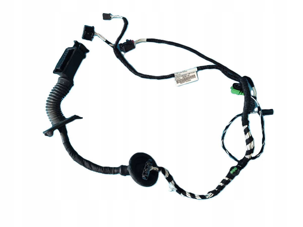 VW TIGUAN II 2 LIFT 1.5 TSI 96KW 2021 R DOOR HARNESS RIGHT REAR 5NA971694BQ