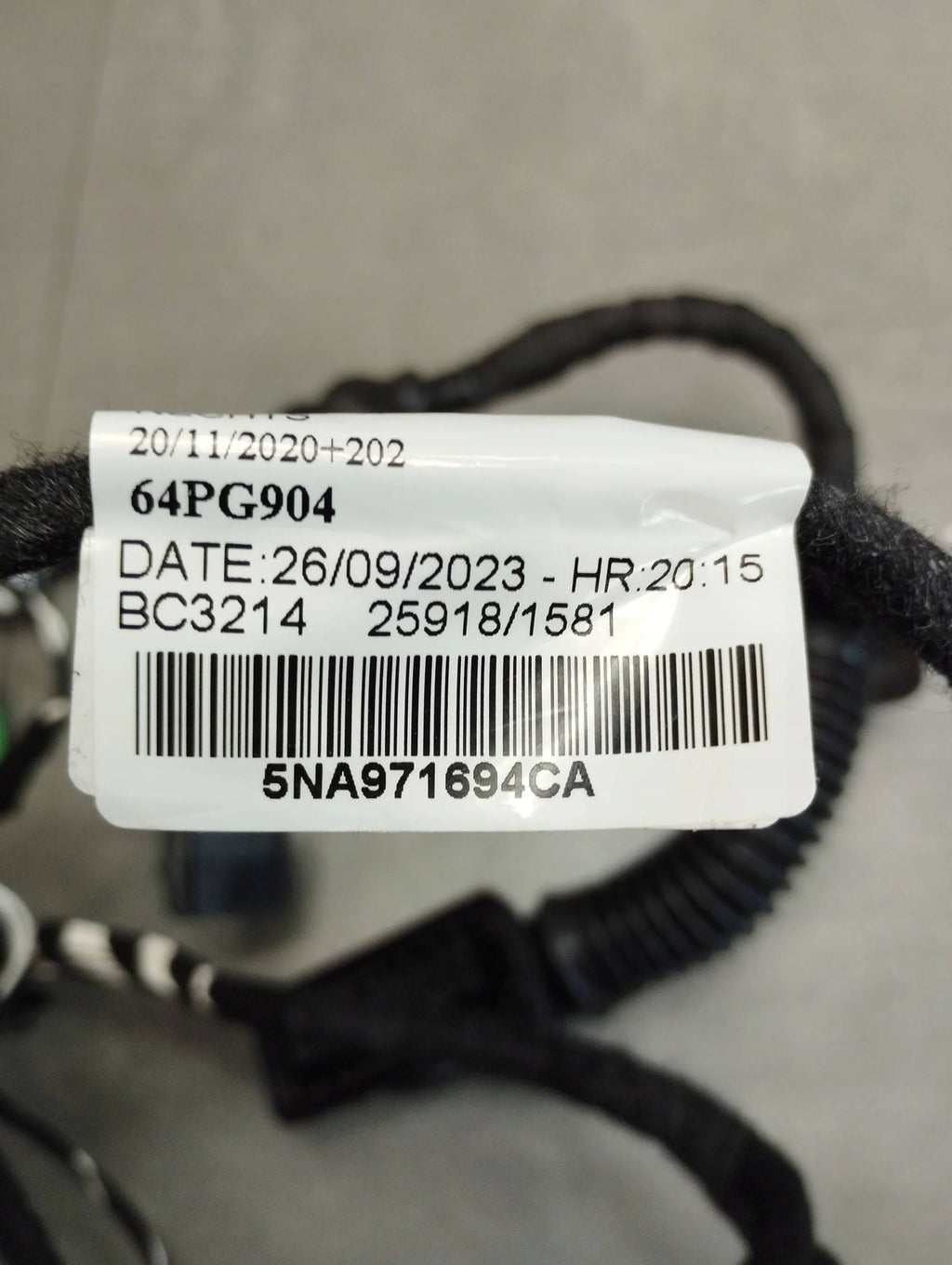 VW Tiguan II DOOR HARNESS RIGHT BACKGROUND 5NA971694CA