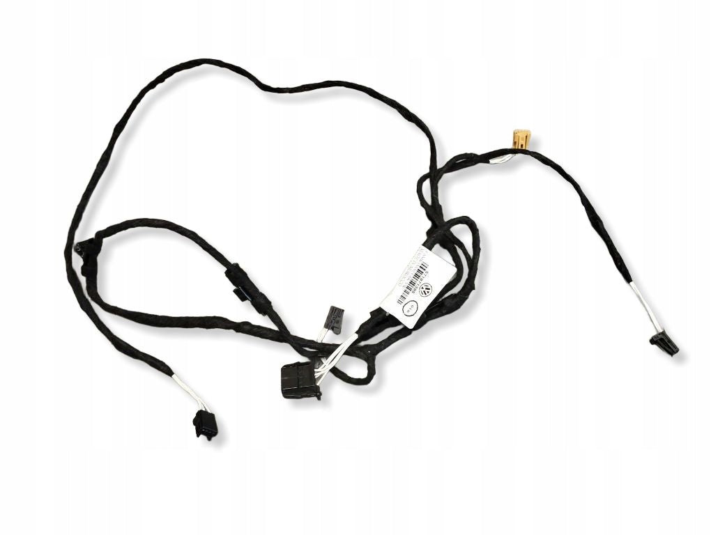 Volkswagen Tiguan III DOOR HARNESS AMBIENTE RIGHT FRONT 571971395
